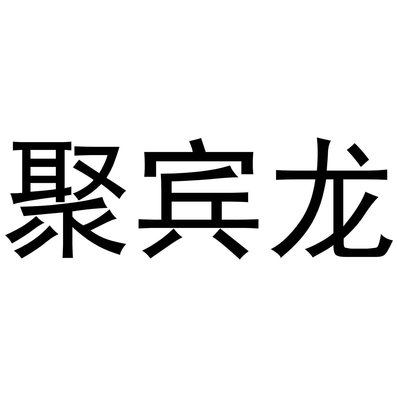 聚宾龙