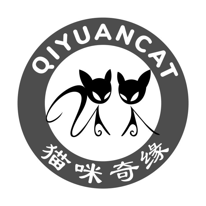 猫咪奇缘 QIYUANCAT