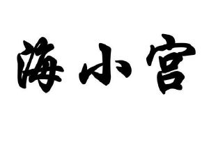 海小宫
