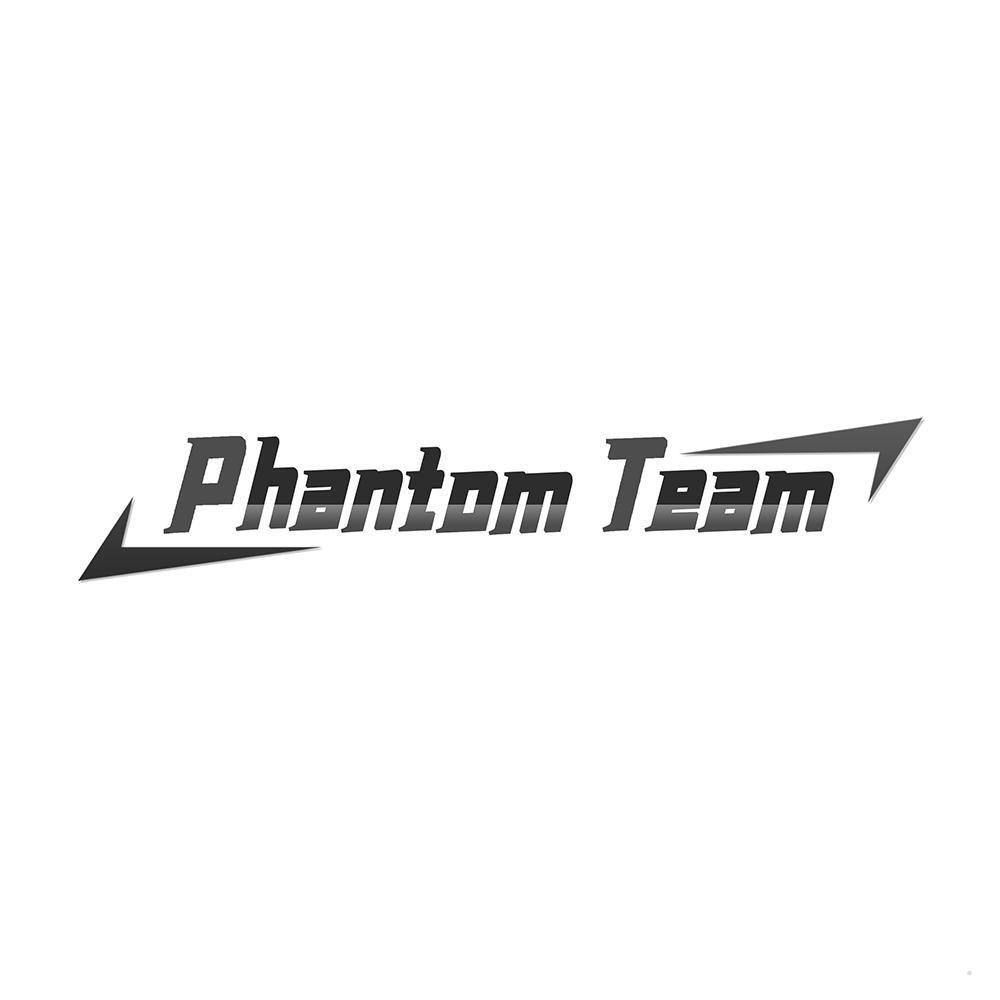 PHANTOM TEAM