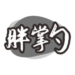胖掌勺