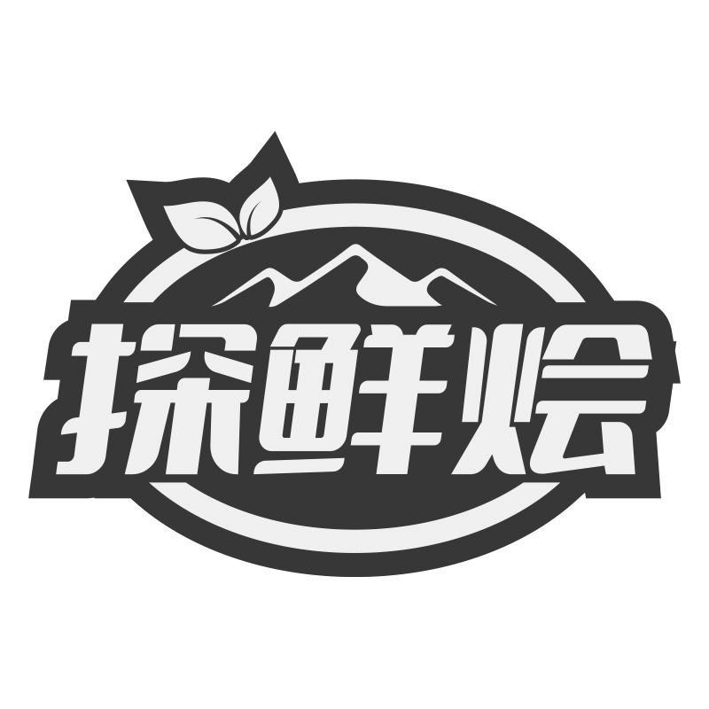探鲜烩