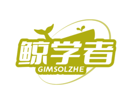 鲸学者 GIMSOLZHE