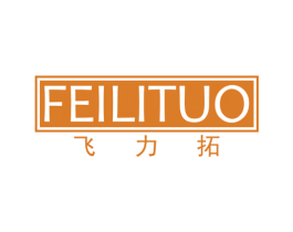 飞力拓