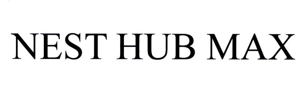 NEST HUB MAX