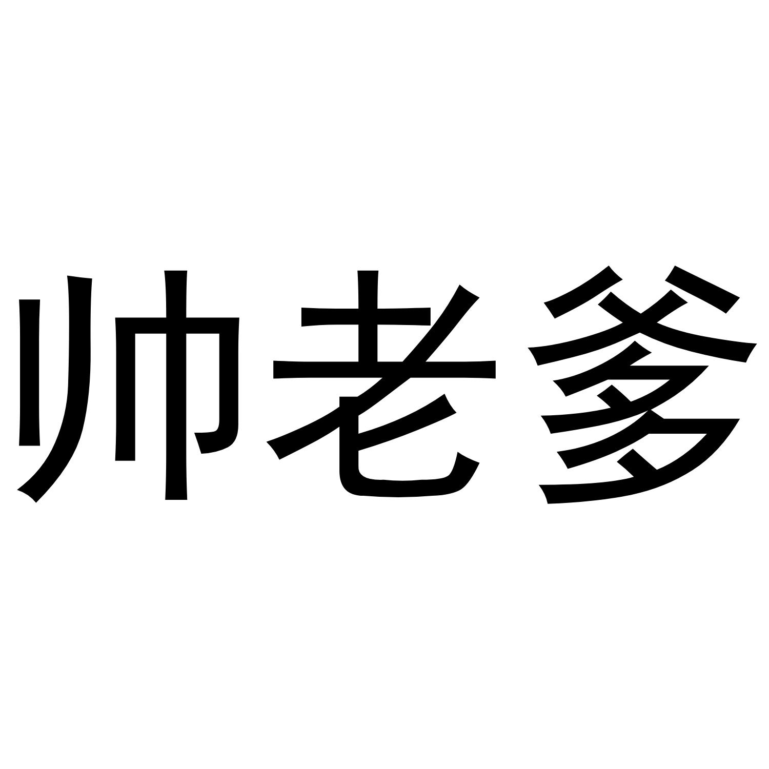 帅老爹