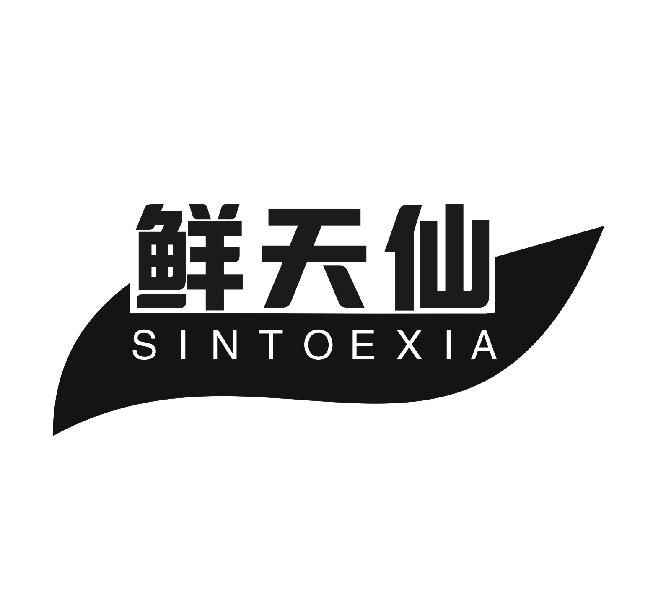 鲜天仙 SINTOEXIA