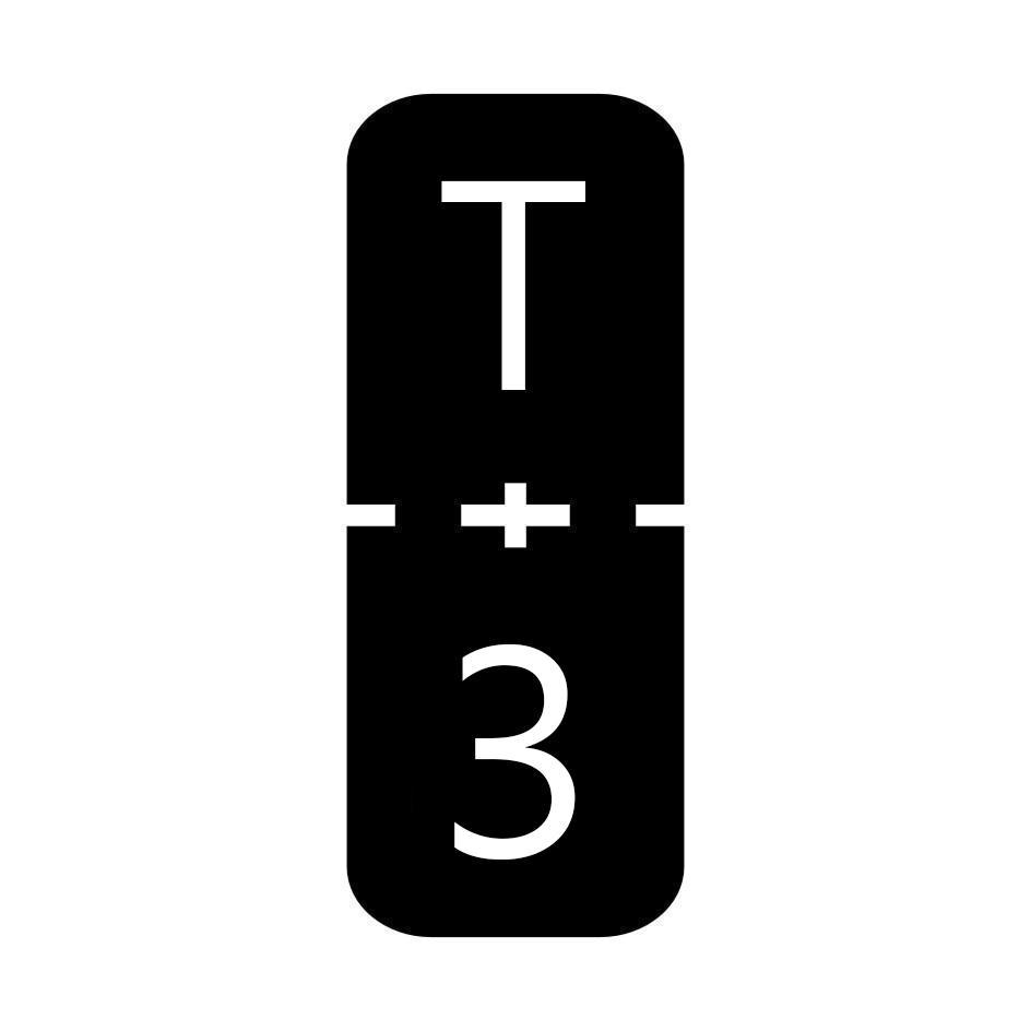 T+3