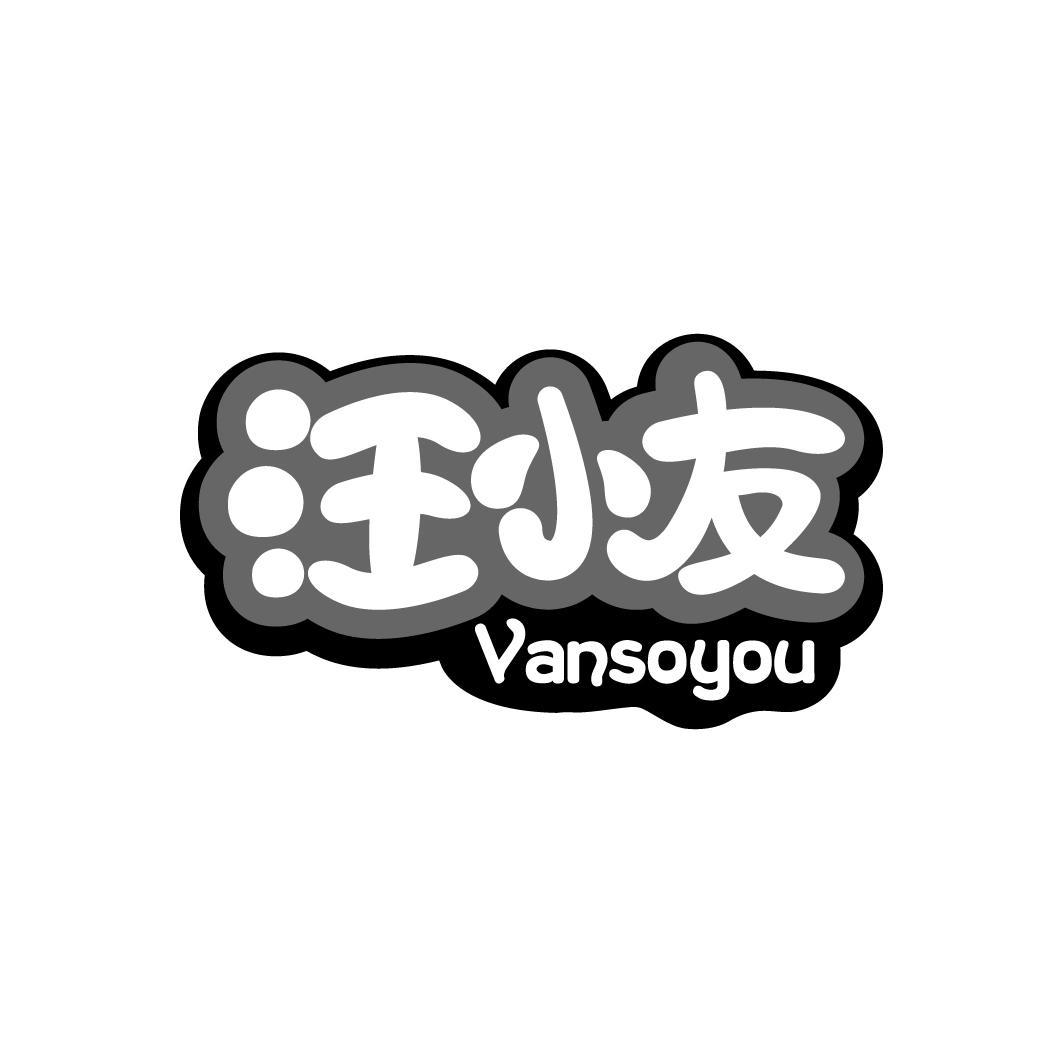 汪小友  VANSOYOU