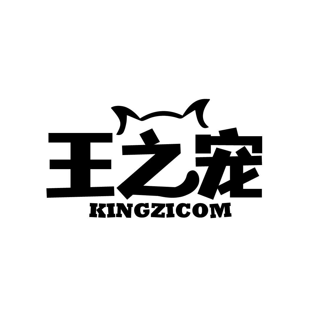 王之宠 KINGZICOM