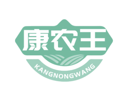 康农王