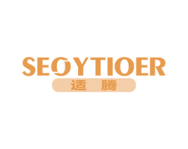 适腾 SEOYTIOER