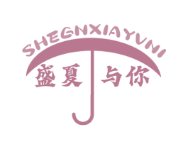 盛夏与你 SHEGNXIAYUNI