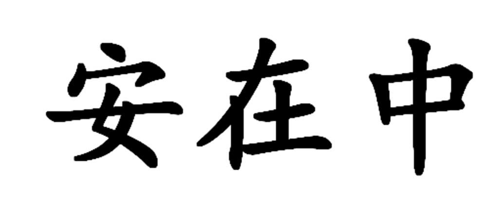 安在中
