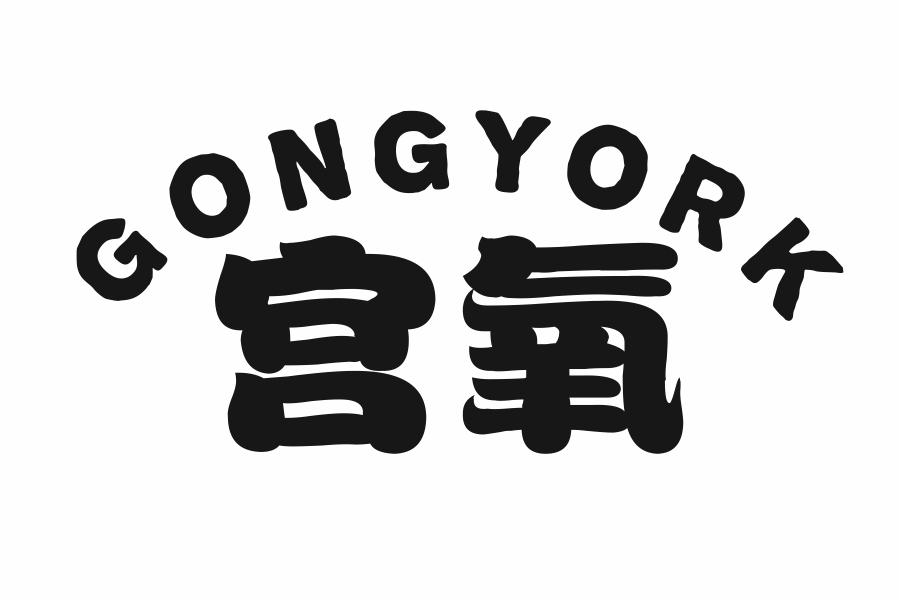 宫氧 GONGYORK