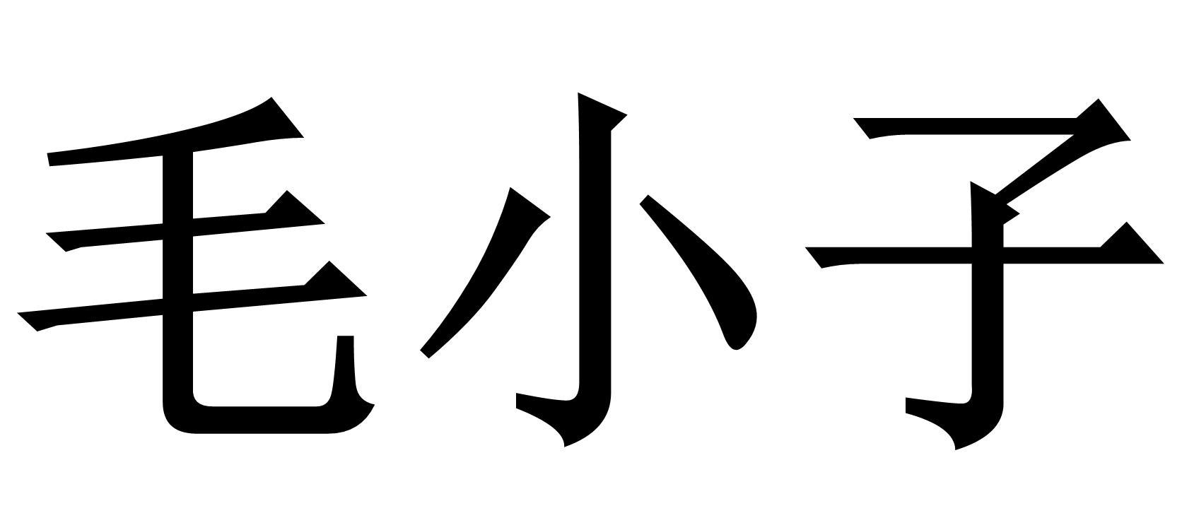 毛小子