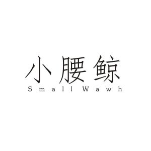 小腰鲸 SMALLWAWH