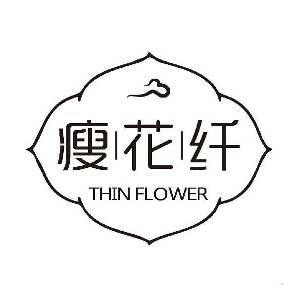 瘦花纤 THINFLOWER