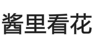 酱里看花