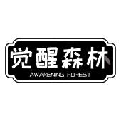 觉醒森林 AWAKENING FOREST