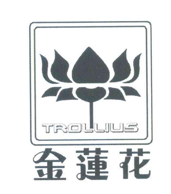 金莲花 TROLLIUS
