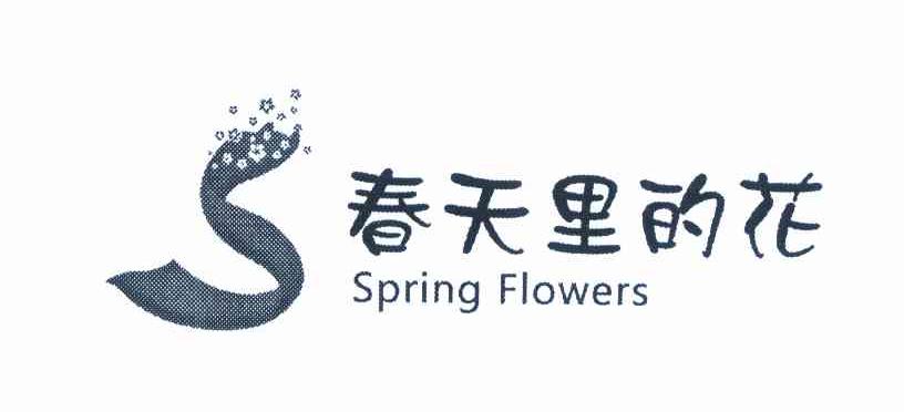 春天里的花 SPRING FLOWERS
