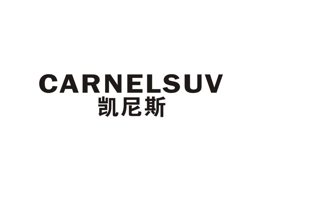 凯尼斯 CARNELSUV
