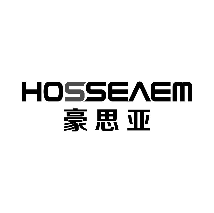 HOSSEAEM 豪思亚