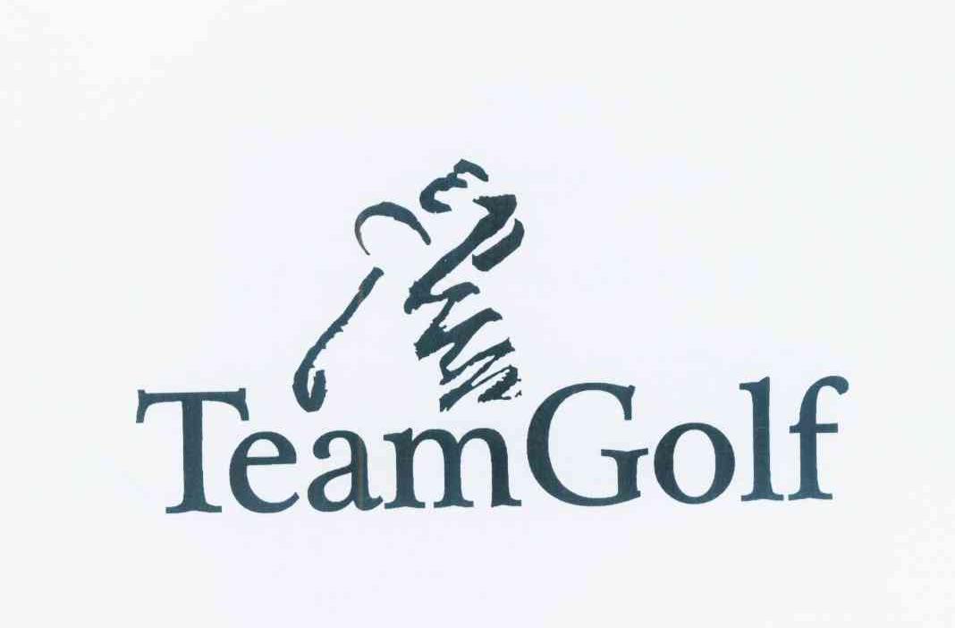 TEAMGOLF