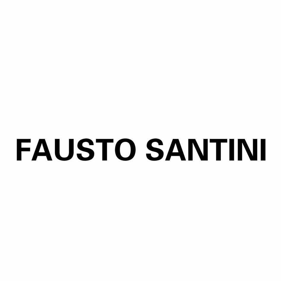 FAUSTO SANTINI