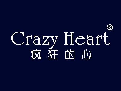 疯狂的心 CRAZY HEART