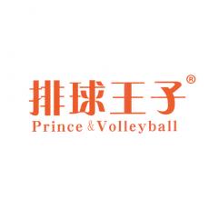 排球王子 PRINCE & VOLLEYBALL