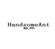 蚁帅 HANDSOMEANT