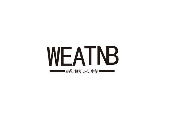 威俄艾特 WEATNB