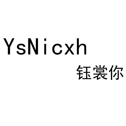 钰裳你 YSNICXH