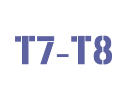 T7-T8