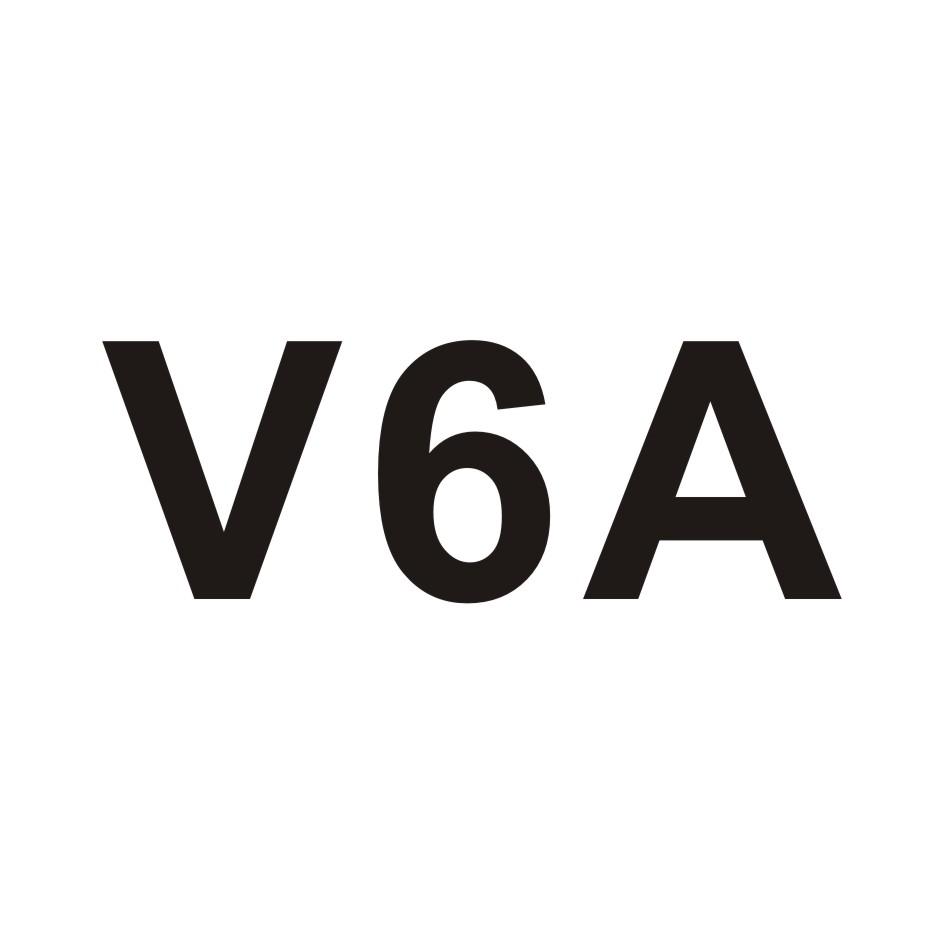 V6A
