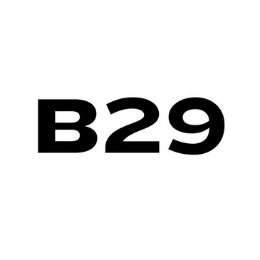 B29