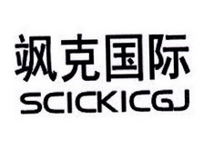 飒克国际 SCICKICGJ