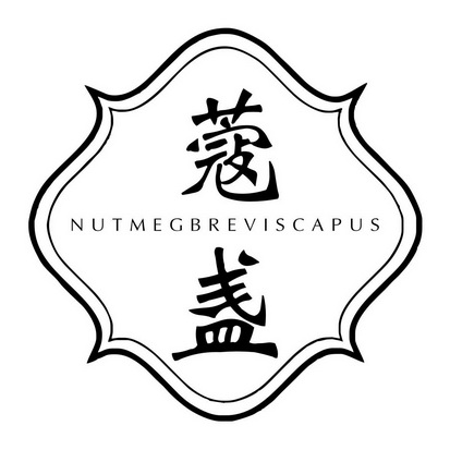 蔻盏  NUTMEGBREVISCAPUS