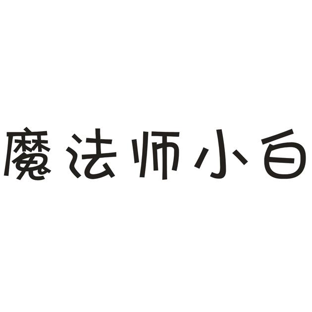魔法师小白