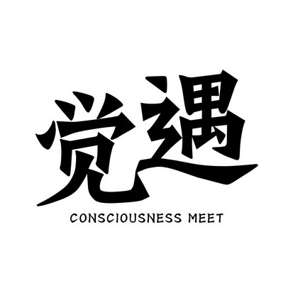觉遇 CONSCIOUSNESS MEET