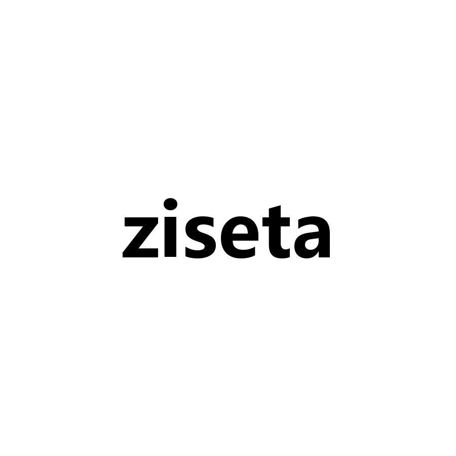 ZISETA
