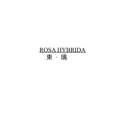 束·璃 ROSA HYBRIDA