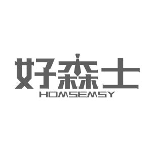 好森士  HOMSEMSY