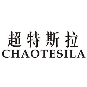 超特斯拉 CHAOTESILA