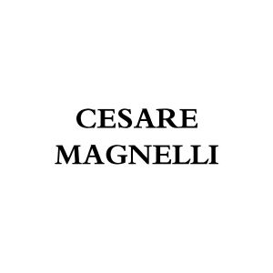 CESARE MAGNELLI