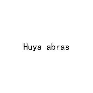 HUYA ABRAS