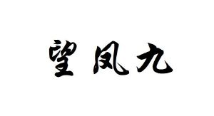 望凤九