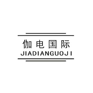 伽电国际